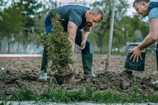 Tree Service Company in Columbia, SC